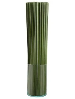 37″H X 8″W X 8″L Tall Grass In Glass Vase Green