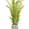 55″H X 21″W X 21″L Tall Fern In Baroque Pot Green