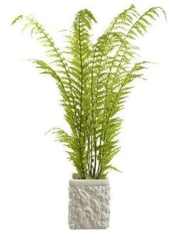 55″H X 21″W X 21″L Tall Fern In Baroque Pot Green