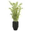 74″H X 36″Wx40″L Fern In Planter Green