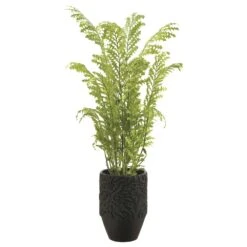 74″H X 36″Wx40″L Fern In Planter Green