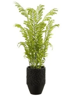 74″H X 36″W X 40″L Fern In Planter Green