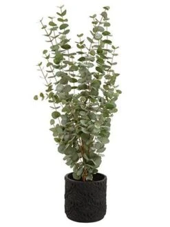 45″H X 21″W X 22″L Eucalyptus In Planter Green