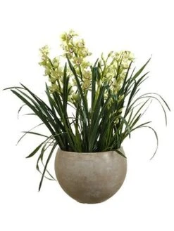 50″H X 33″W X 52″L Cymbidium In Cement Pot Green