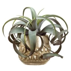 11″H X 13″W X 14″L Tillandsia In Cement Pot Green Burgundy