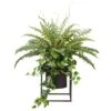 18″H X 23″W X 23″L Fern/Ivy In Planter With Stand Green
