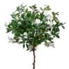 32″ Azalea Bush White
