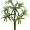 11″ Plastic Cactus Stem Frosted Green
