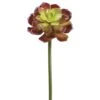 19″ Echeveria Spray Green Burgundy