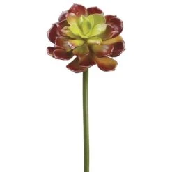 19″ Echeveria Spray Green Burgundy