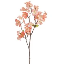 36″ Dogwood Stem With Pearl Coral