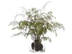 28″ Maidenhair Fern Plant In Glass Vase In Re-Shippable Box Green