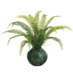 12″ Sword Fern Plant In Glass Vase In Re-Shippable Box Green