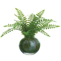 12″ Boston Fern Plant In Glass Vase In Re-Shippable Box Green