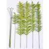 50″ Fern Pointy Stem Ket Box Green
