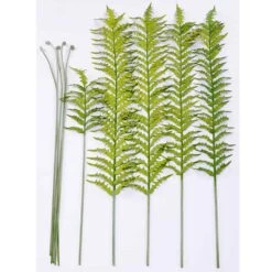 50″ Fern Pointy Stem Ket Box Green
