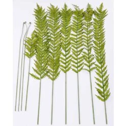 60″ Fern Pointy Stem Ket Box Green