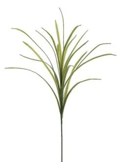 30″ Flax Spray X18  Green