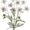 25″ Scabiosa Bush Lavender